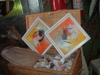 /album/abstratos1/a1-123-jpg/